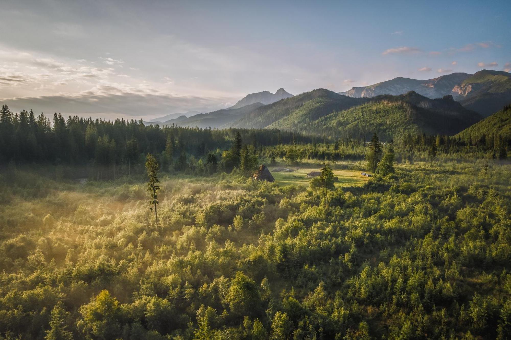 Apartamenty Krokus Przy Polanie Bialy Potok Вітув Екстер'єр фото